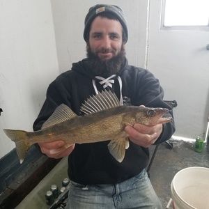 Meet your Posher, Shawn